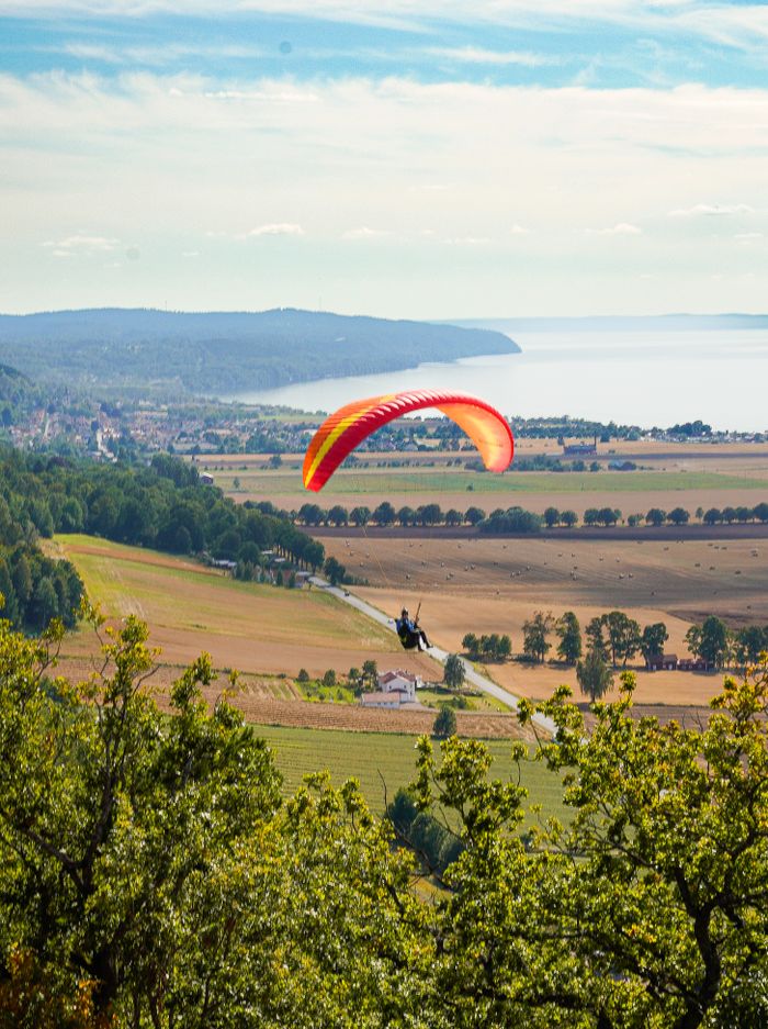 A paraglider glides over a picturesque landscape with rolling hills and distant sea views.